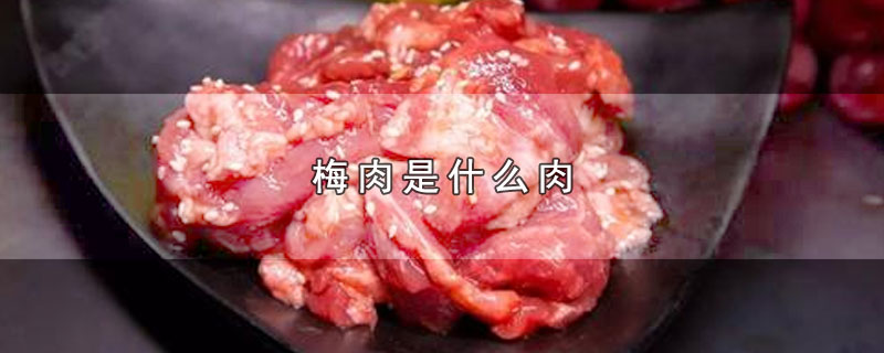 猪身上的梅肉是什么肉(韩式梅肉是什么肉)