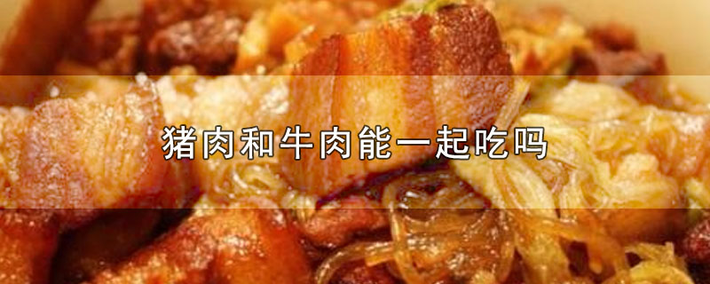 猪肉和牛肉能一起吃吗能包饺子吗(猪肉和牛肉能一起吃吗?)