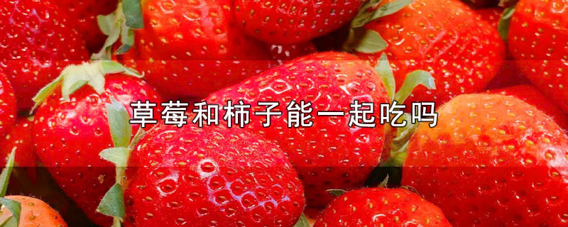 草莓和柿子能一起吃吗?(草莓与柿子能一起吃吗)