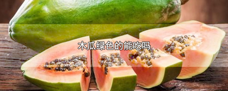 什么是木瓜 木瓜长什么样(木瓜能吃吗?怎样吃法?)