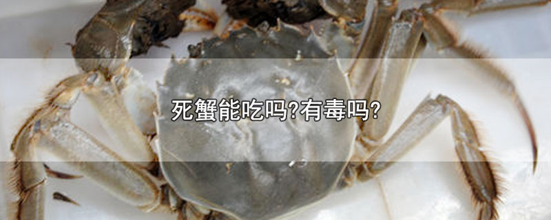 死蟹能吃吗(有没有毒(死螃蟹能吃吗?有毒吗?)