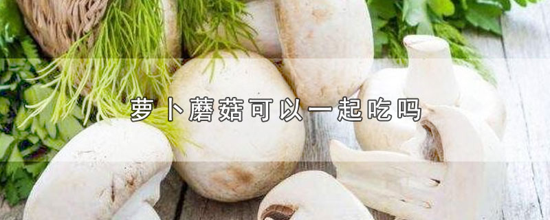 海带白萝卜蘑菇可以一起吃吗(芹菜胡萝卜蘑菇可以一起吃吗)