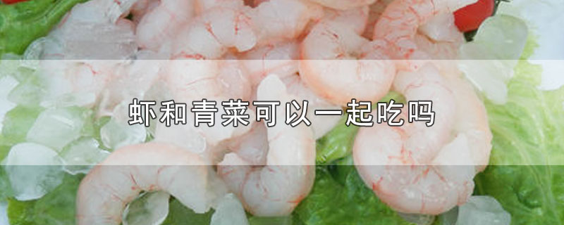 基围虾和青菜可以一起吃吗(少量虾和青菜可以一起吃吗)