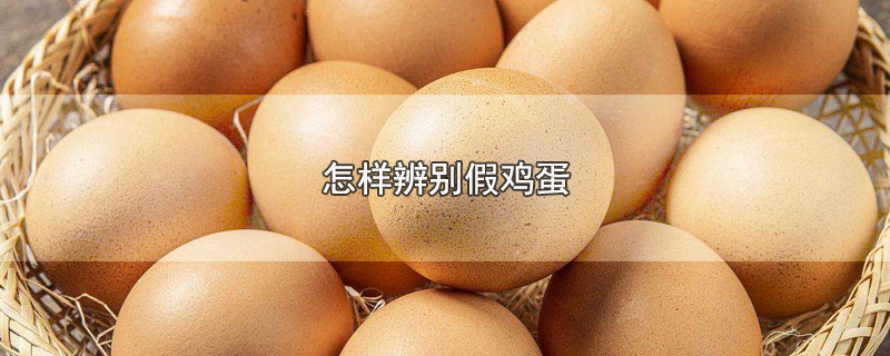 怎样辨别假鸡蛋和人造鸡蛋(怎样鉴别新鲜鸡蛋)