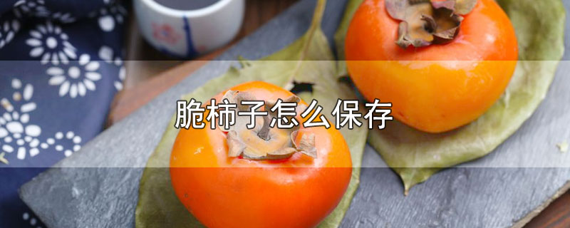 脆柿子怎么保存放的时间长,脆柿子怎么保存不变黑