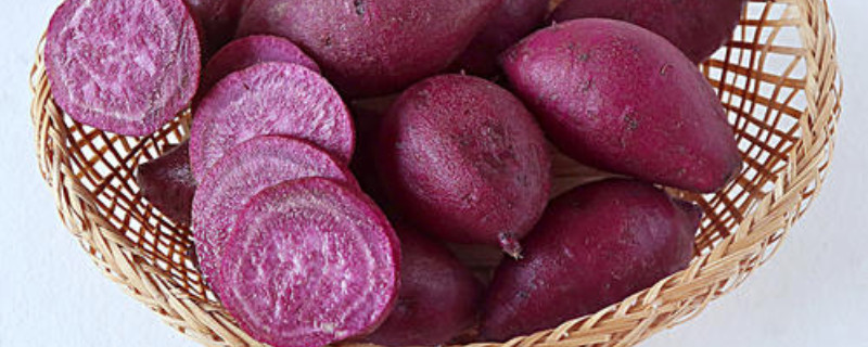 紫薯能天天吃吗(紫薯每天吃好吗)