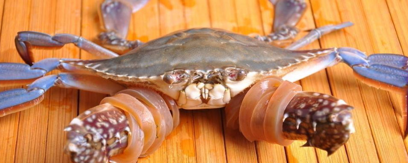 螃蟹和牛肉可以同时吃吗会中毒吗(螃蟹和牛肉可以同时吃吗?)