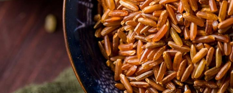 糙米红米黑米饭可以天天吃吗(糙米红米黑米天天吃可以减肥吗)