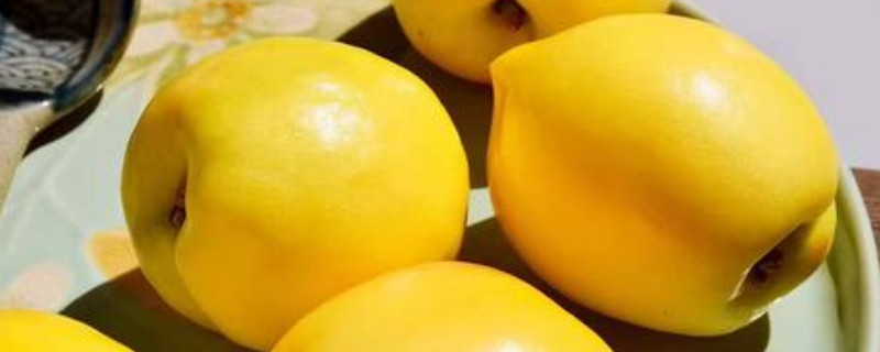 黄油桃的营养价值及功效(黄金桃的营养价值及功效)