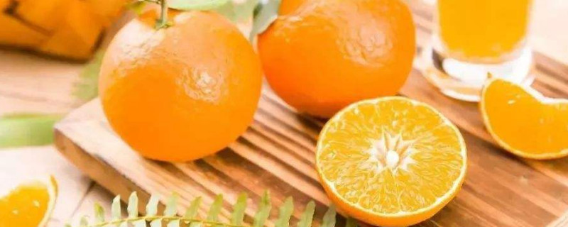 果冻橙和粑粑柑一样吗(果冻橙是耙耙柑吗)