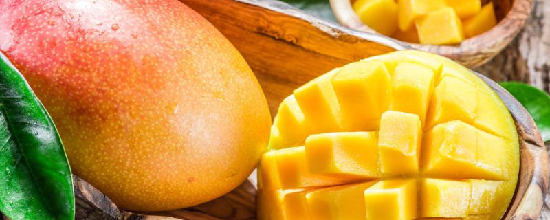 芒果和甜瓜能不能一起吃(芒果可以和南瓜一起吃吗?)