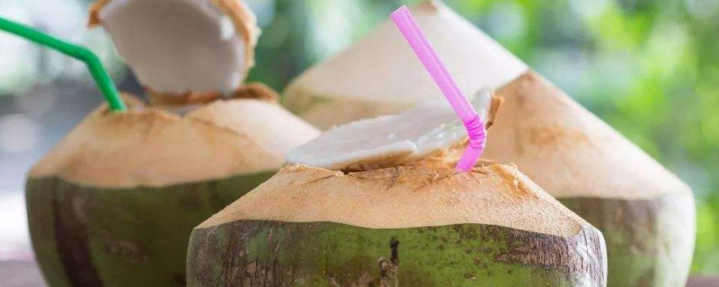 椰子的功效与作用及营养价值(椰子的功效与作用禁忌)