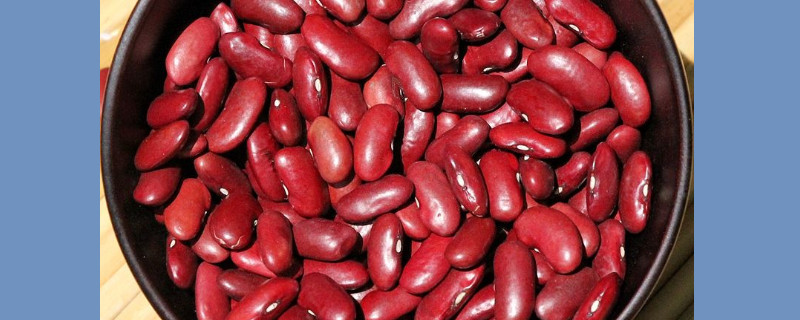 腰豆的功效与作用及食用方法(腰豆的功效与作用及食用方法红豆可以跟莲子一起煮吗)