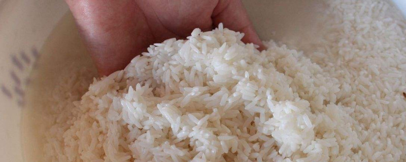蒸米饭水和米的比例和时间(蒸米饭水和米的比例用手指一个关节)