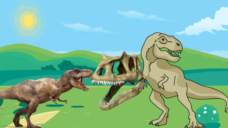 恐龙的种类名称和图片(恐龙的种类有哪些)