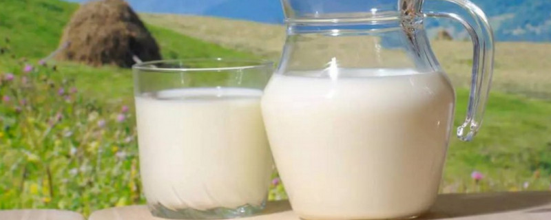低脂和全脂牛奶有什么区别(低脂奶粉和全脂奶粉什么区别)