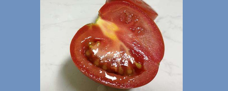 西红柿切掉发霉部分还能吃吗(吃了发霉的番茄怎么办)
