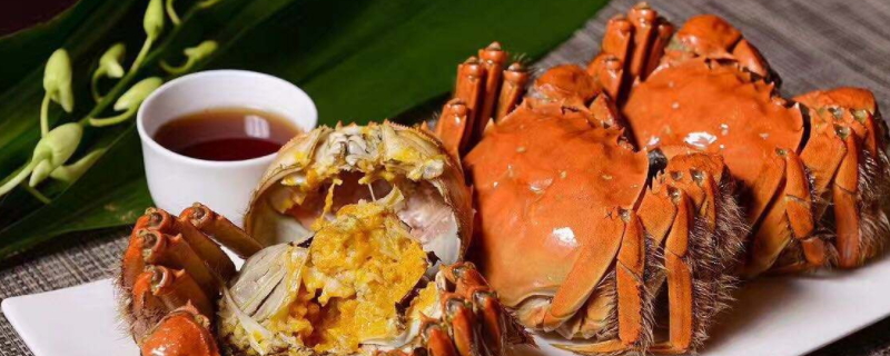 螃蟹煮过可以隔夜吃吗(隔夜的螃蟹能吃吗 煮熟的螃蟹隔夜能吃吗)