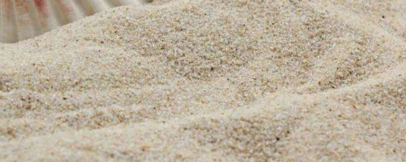 海峡沙和海沙的区别(海峡沙是什么样的沙)