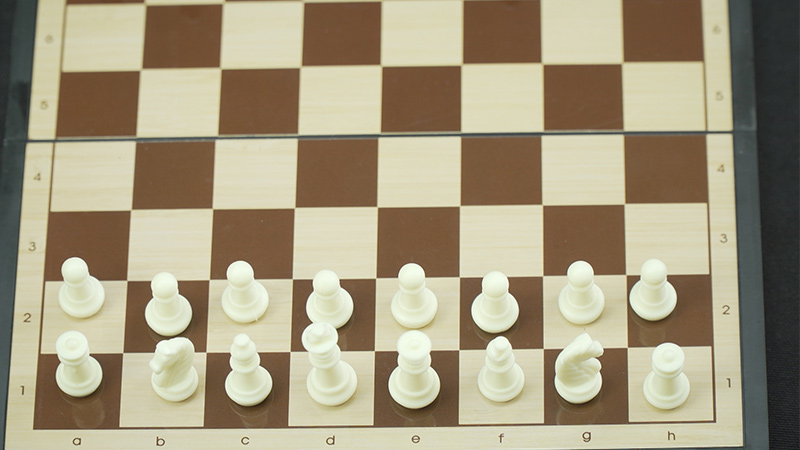 国际象棋怎么玩新手入门视频(国际象棋怎么玩教程)