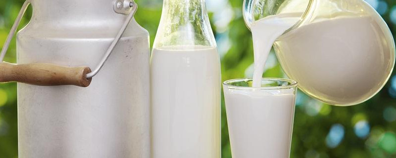 纯牛奶和有机纯牛奶有什么区别(生牛乳和牛奶的区别)