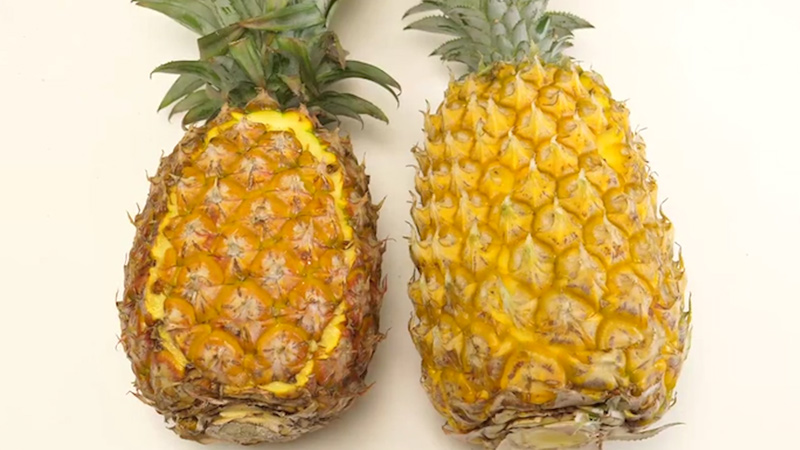 凤梨和菠萝的区别图片(凤梨和菠萝的区别百度百科)