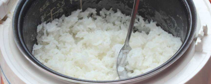 蒸米饭可以用热水吗(米饭能用热水蒸吗)