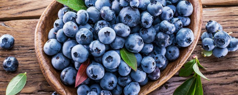 洗过的蓝莓可以冰冻吗(冷冻蓝莓要洗吗)