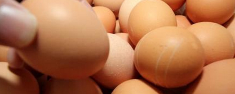 煮熟的鸡蛋坏了怎么辨别,鸡蛋坏了怎么辨别图片