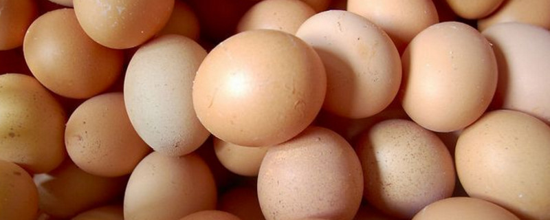 鸡蛋怎么保存不容易坏(如何存放鸡蛋才能放的长久不坏)