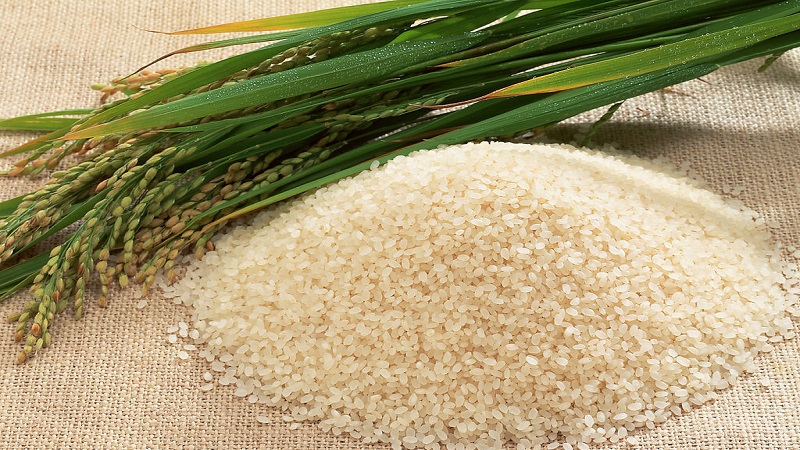真空包装的大米放了三年还能吃吗(密封大米放了三年还能吃吗)