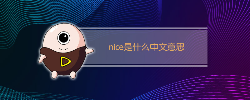 nice是什么中文意思怎么读(nice是什么中文意思翻译)