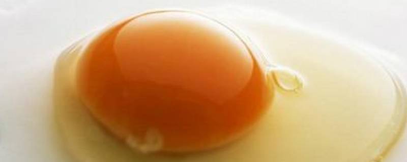 鸡蛋没有蛋黄是什么原因能吃吗(鸡蛋的蛋白和蛋黄哪个有营养)