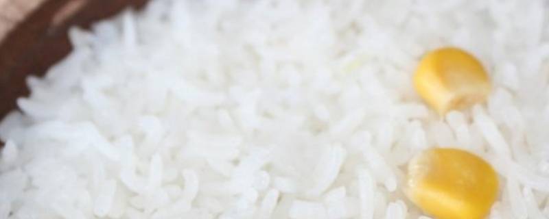 电饭煲做米饭米和水的比例是多少(怎么蒸大米饭水的比例)