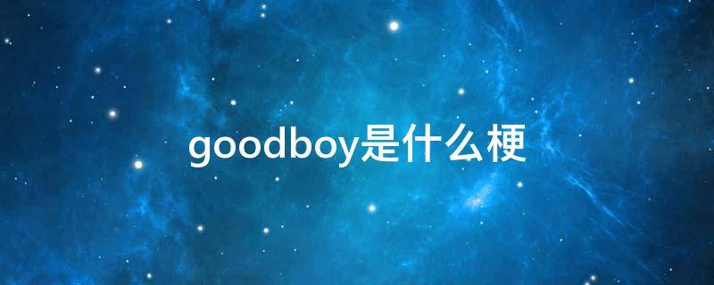 goodboy是什么梗(goodboy是什么意思中文翻译)