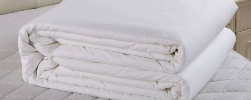 丝棉和蚕丝棉的区别(蚕丝棉是纯棉吗)