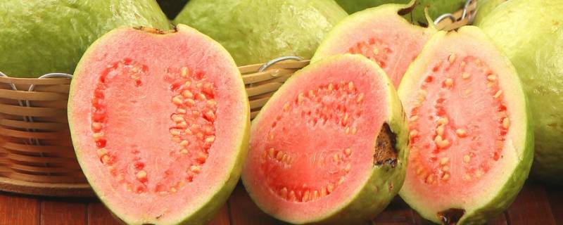 guava是什么水果英语怎么读(guava是什么水果怎么读)