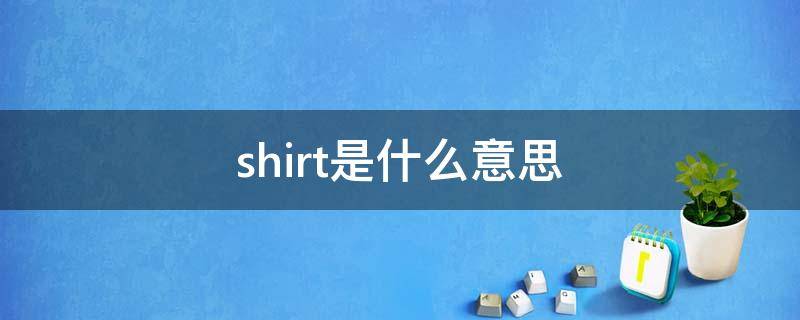 shirt是什么意思中文(t-shirt是什么意思中文)
