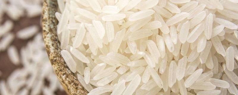 米粒很长的大米是什么米(长粒大米是什么米)