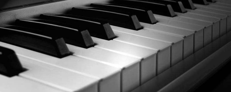 电钢琴和钢琴的区别在于哪里(电钢琴和钢琴有什么区别?哪个好?)