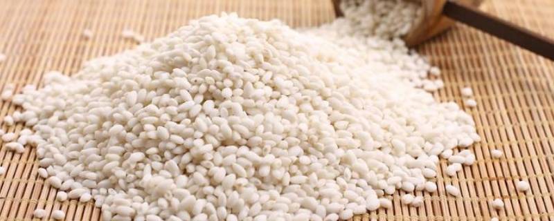 糯米和粘米是一种米吗(黏米和糯米是一样吗)