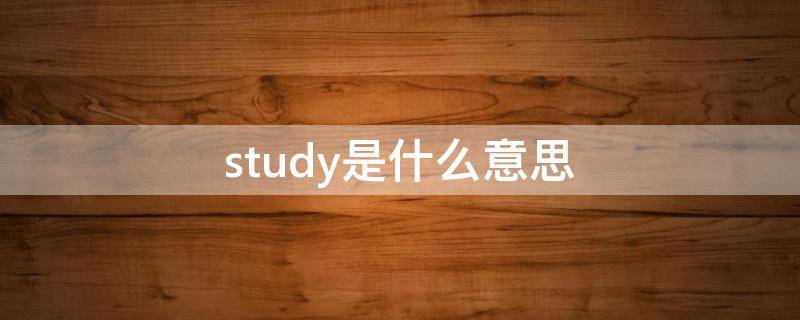 study是什么意思中文(study是什么意思英语)