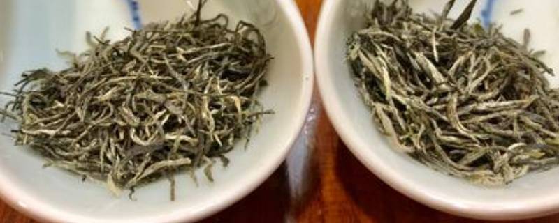 信阳毛尖是红茶还是绿茶(毛尖茶是绿茶吗?)