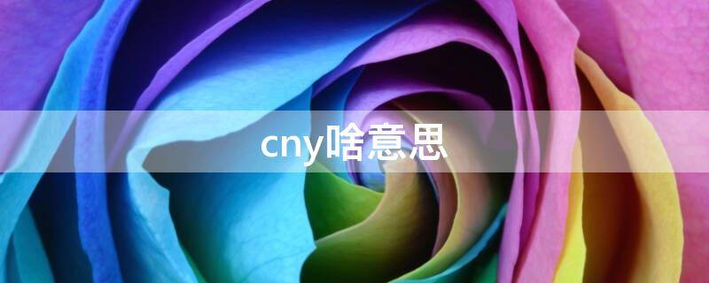 Cny啥意思(cny什么意思?)