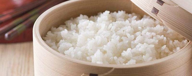 蒸米饭米与水的比例是多少(蒸一碗米饭水和米的比例)