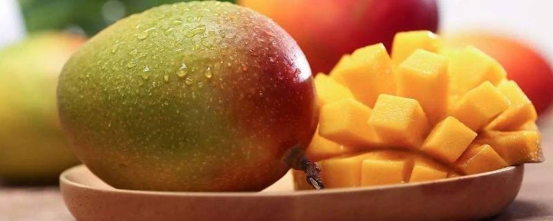 芒果熟了可以放冰箱保存吗?(芒果能放在冰箱保鲜吗)