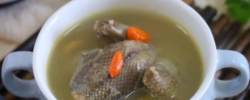 鸽子汤的功效与作用能补肾壮阳(鸽子汤的做法与配料)