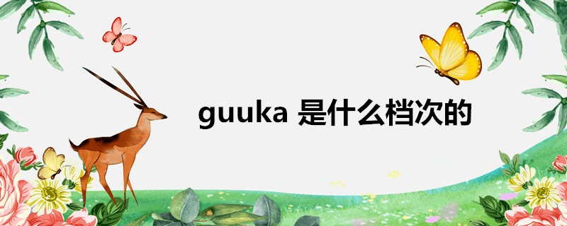 guuka是什么档次的牌子(guuka 是什么档次的)