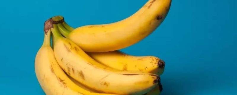 香蕉怎么保存能放时间长一点(香蕉怎么储藏能放时间久一点)