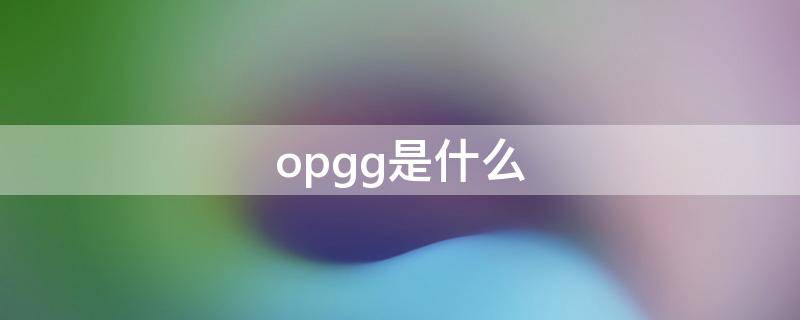 opgg是什么软件(opgg是什么网站)